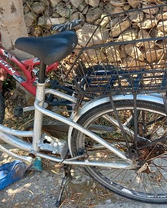 bici da donna
