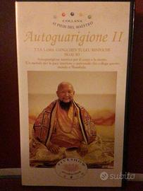 Videocassetta Autoguarigione II
