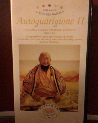 Videocassetta Autoguarigione II