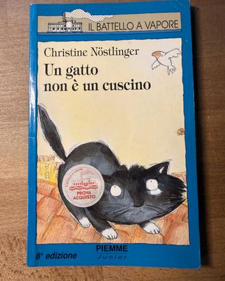 Un gatto non è un cuscino