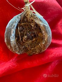 Presepe sacra famiglia artigianale in noce african