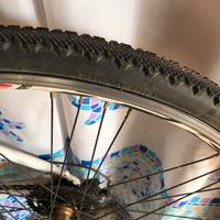 Bici ibryda