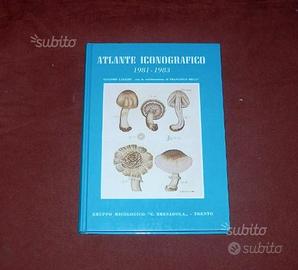 Funghi - Atlante iconografico - G. Lazzari - 1985