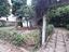 Immagine 21