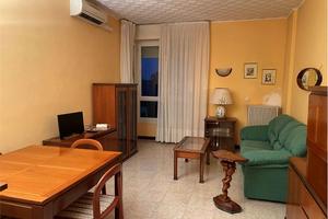 AFFORI - LIBERO DAL 20 MAGGIO