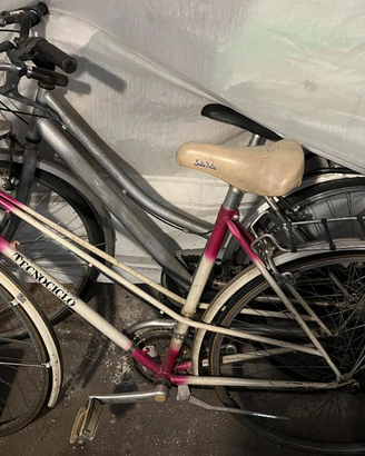 Coppia di biciclette da donna per uso quotidiano