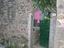 Immagine 2