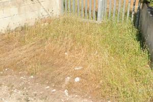 Terreno località maruggio, zona mare