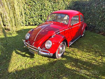 Volkswagen maggiolino 6V "nasino" 1963