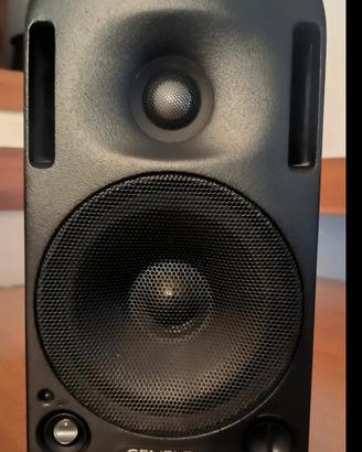 Genelec Active Monitor 1029A