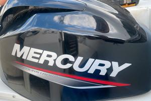 MOTORE MERCURY F40