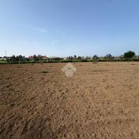 TER. AGRICOLO A ALEZIO