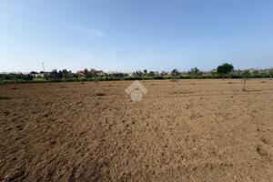 TER. AGRICOLO A ALEZIO