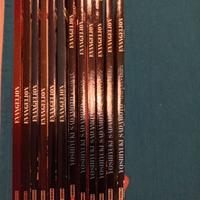 Neon Genesis Evangelion vol. 11-22 Planet Manga