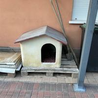 Casetta per cane