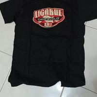 Ligabue concerto musica fan gadget