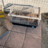 Gabbie varie uccelli conigli