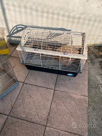 Gabbie varie uccelli conigli