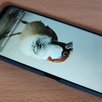 smartphone Honor 90 LITE 8G/256G MIDNIGHT BLACK