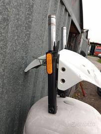 ricambi agility carry 