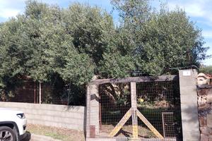 Terreno edificabile recintato con doppio ingresso