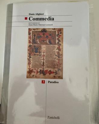 Libro del paradiso di Dante