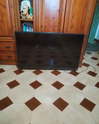 Smart TV lg 55 pollici