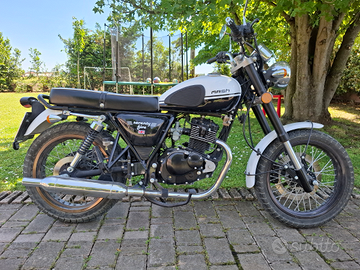Mash seventy five scrambler