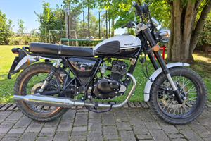 Mash seventy five scrambler