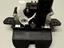 Immagine 15