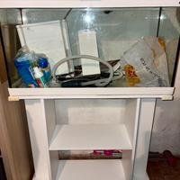 Acquario 80L