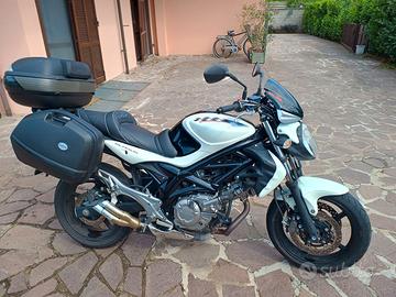 Suzuki Gladius