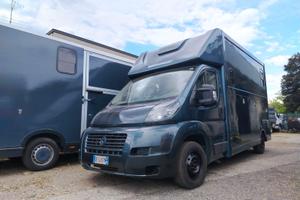 van trasporto cavalli patente b