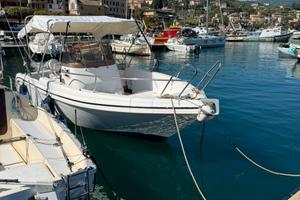 Sport fish 25