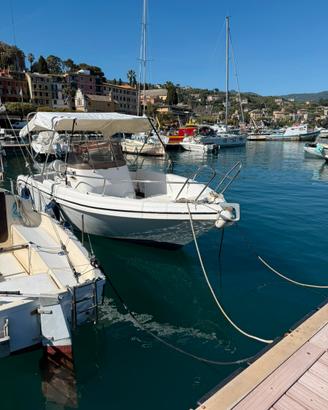 Sport fish 25