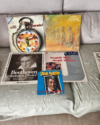 dischi in vinile