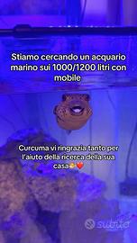 C3rc0 acquario marino 1000/1200 litri
