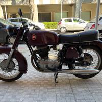 Gilera B300 Extra – 1968 | Iscritta reg. storico