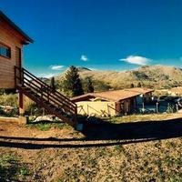 Ristorante e/o pizzeria in gestione