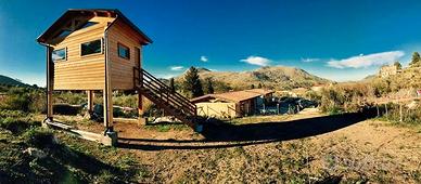 Ristorante e/o pizzeria in gestione