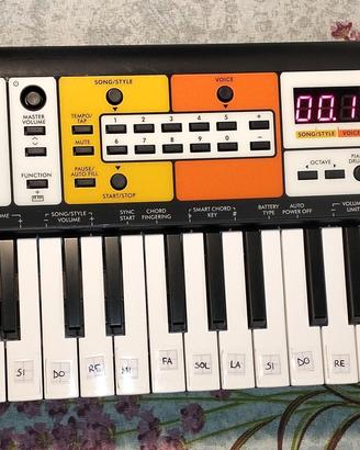 Tastiera elettronica e custodia