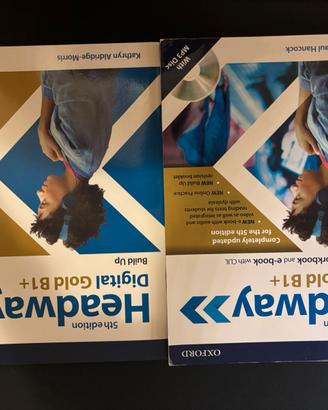 HEADWAY DIGITAL GOLD B1