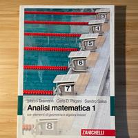 Analisi matematica 1 - Bramanti, Pagani, Salsa