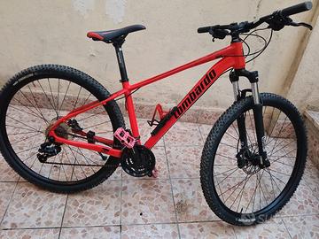 MTB LOMBARDO SESTIERE 350 (29)