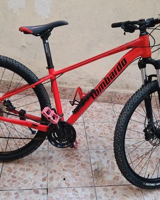 MTB LOMBARDO SESTIERE 350 (29)