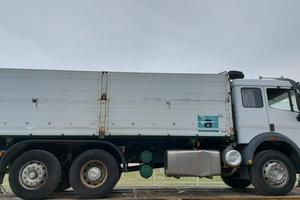 AUTOCARRO MERCEDES RIBALTABILE