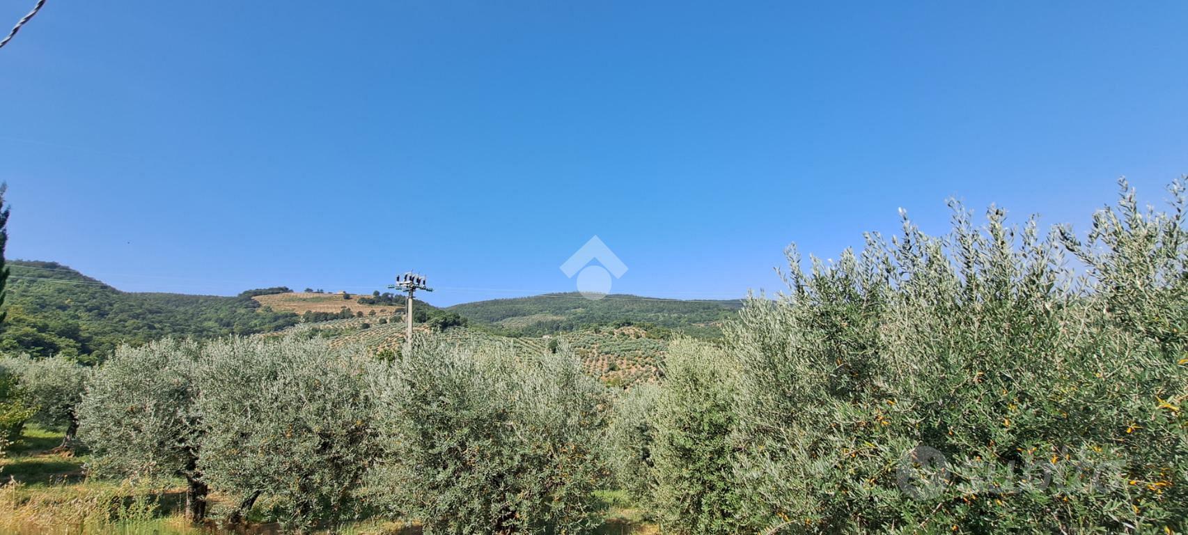 RUSTICO A BEVAGNA - Vista 2