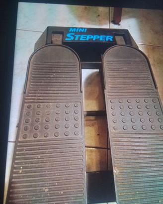 STEPPER + MAGIC TWISTE + RUOTA + PESI