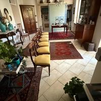 Sedie in mogano stile inglese