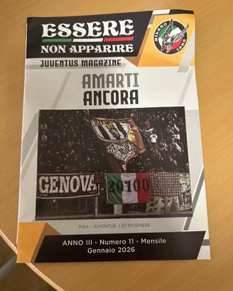 Fanzine Viking Juventus Ultras
